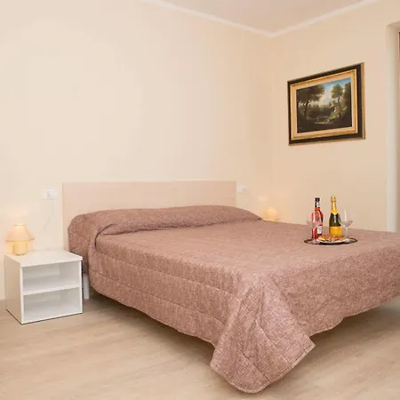 Tulipano Willa *