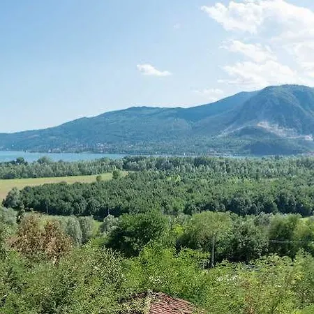 Tulipano